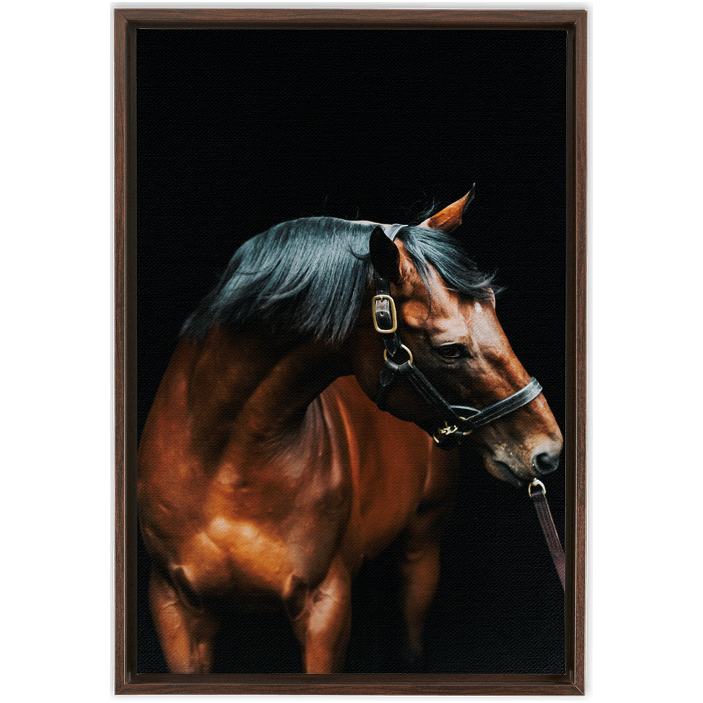 American Pharoah Series 3, Framed Canvas