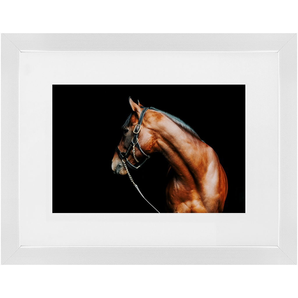 American Pharoah Series 5, Framed Print