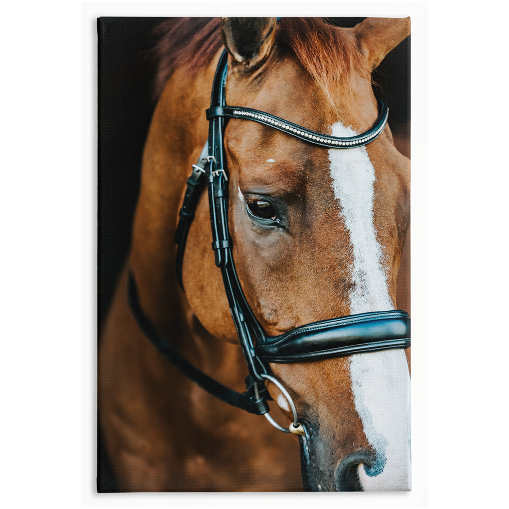 Hudson Series 3, Stretched Canvas