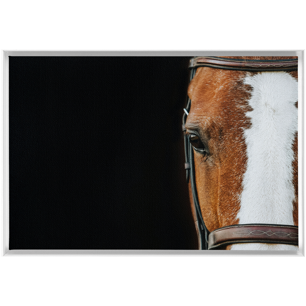 Huntsman Series 5, Framed Canvas