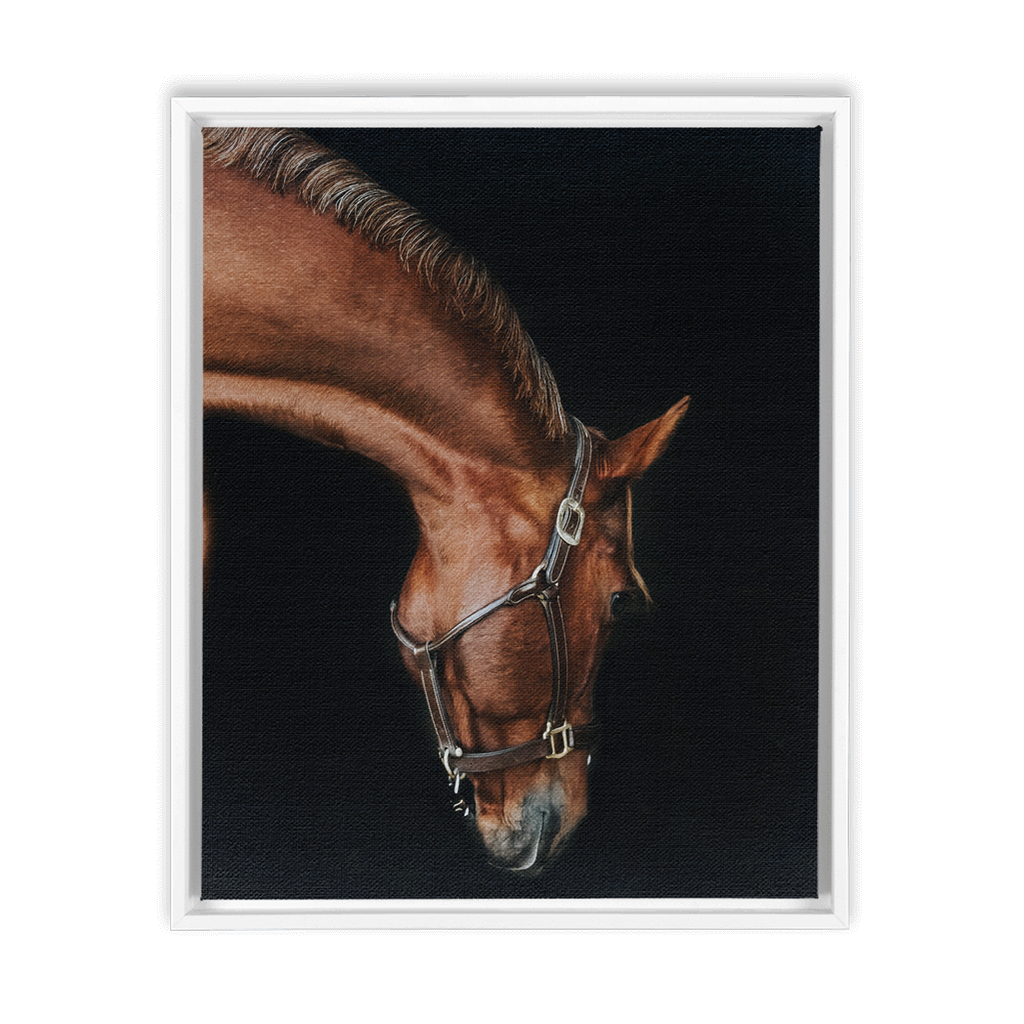 Django Series 6, Framed Canvas