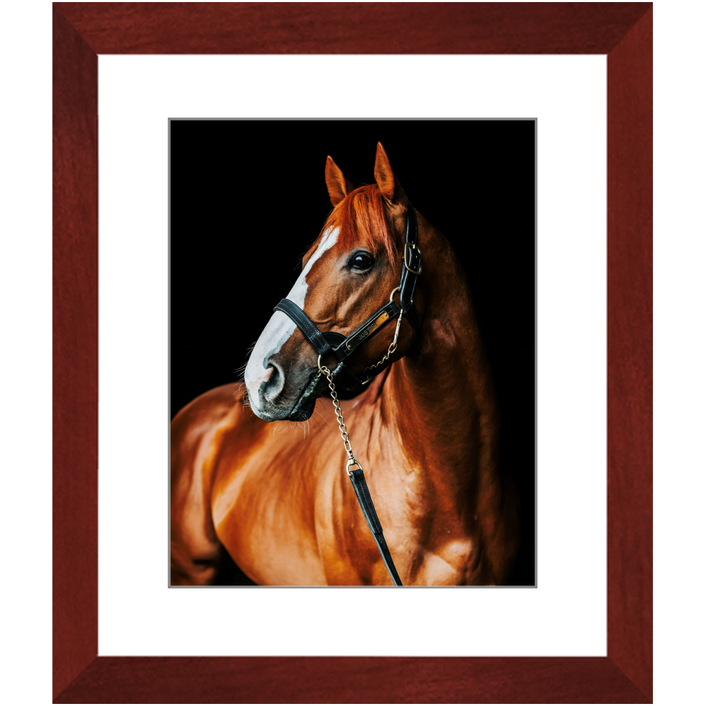 Justify Series 1, Framed Print