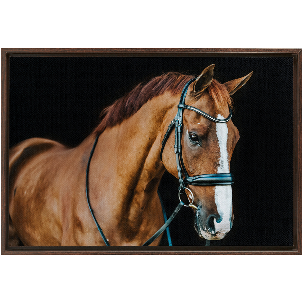 Hudson Series 1, Framed Canvas