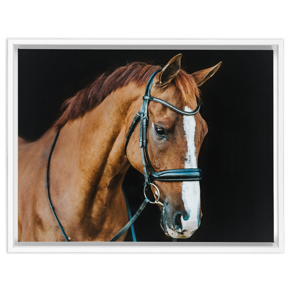 Hudson Series 1, Framed Canvas