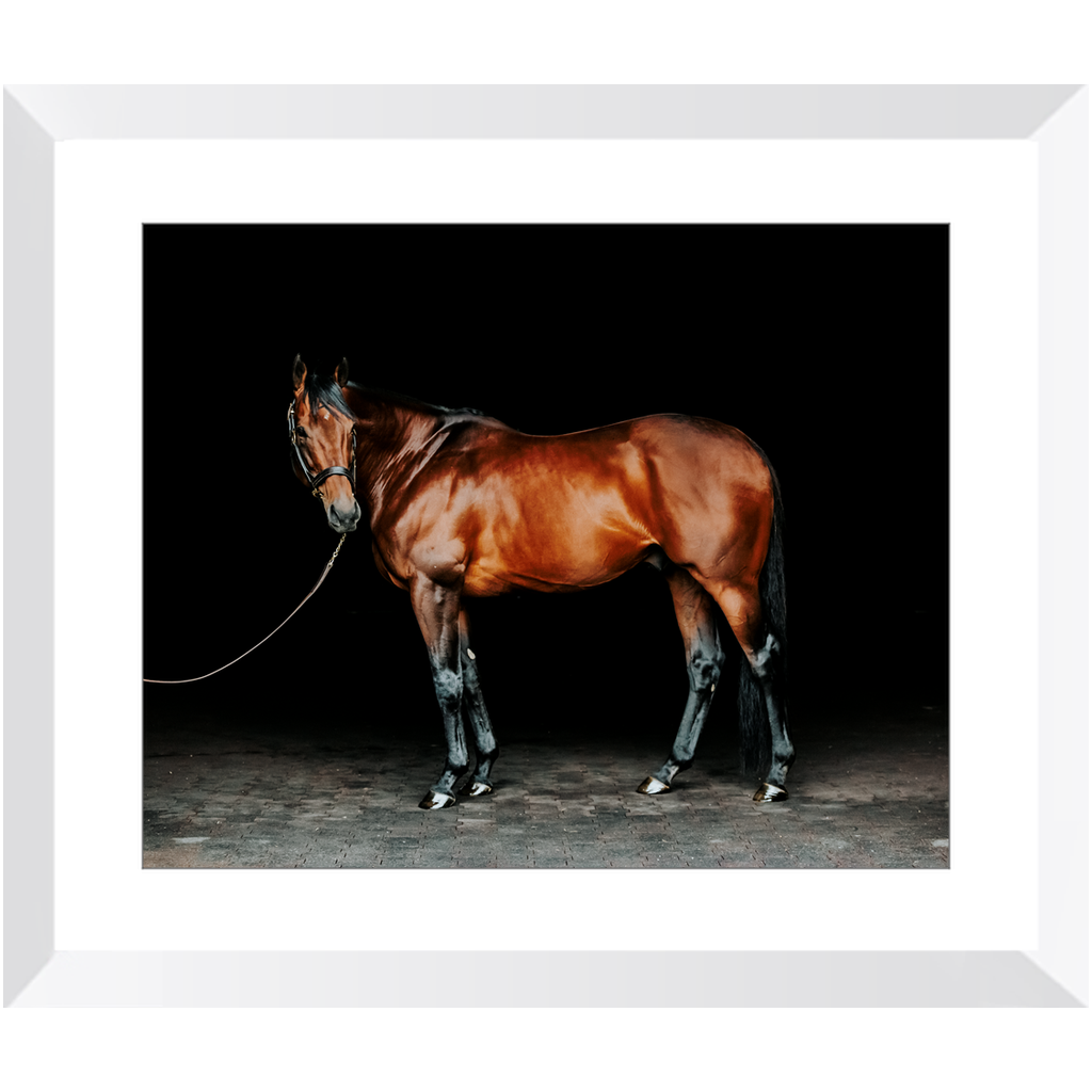 American Pharoah Series 1, Framed Print