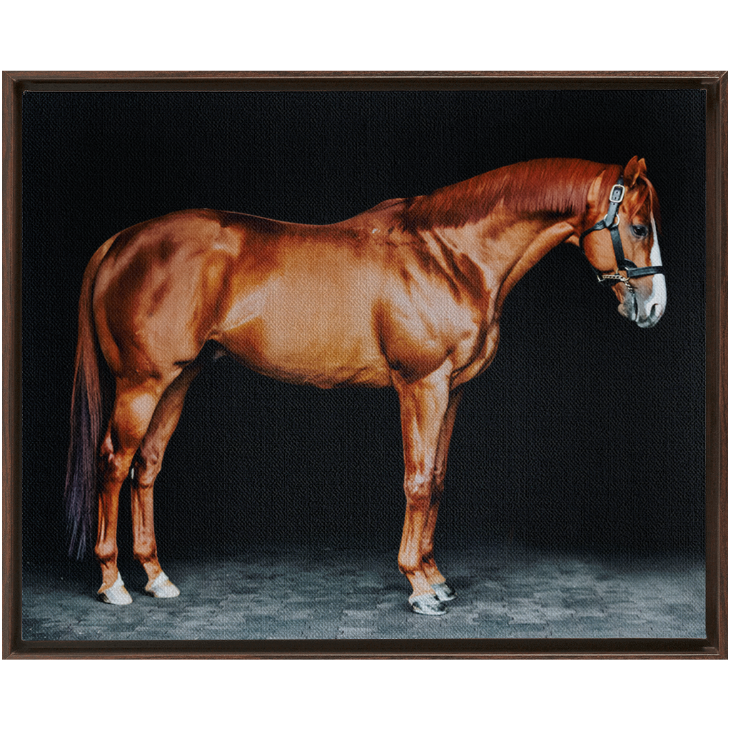 Justify Series 6, Framed Canvas