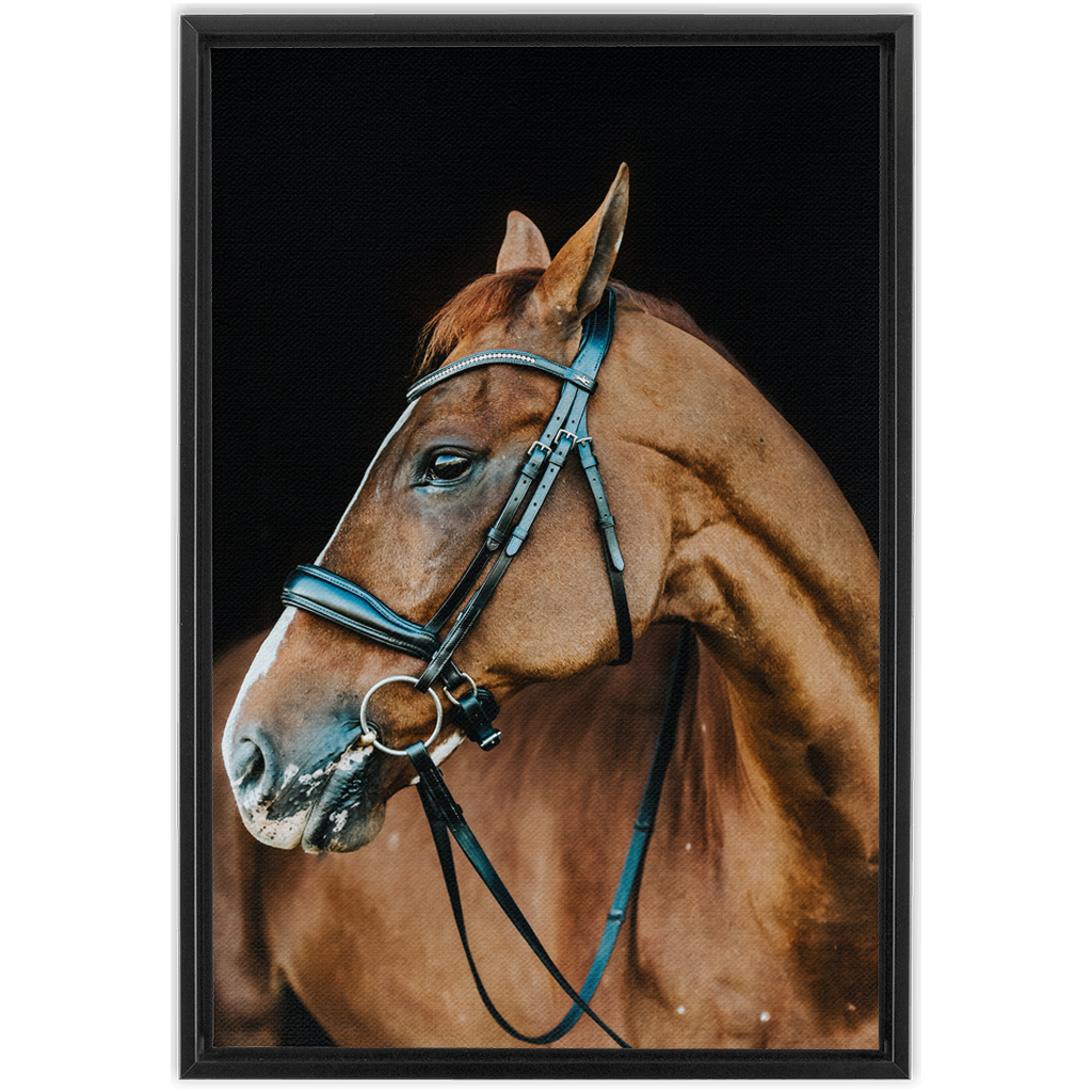 Hudson Series 6, Framed Canvas