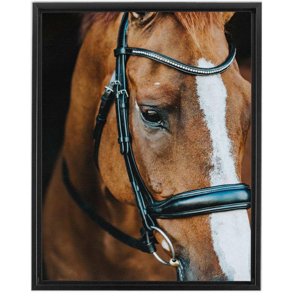 Hudson Series 3, Framed Canvas