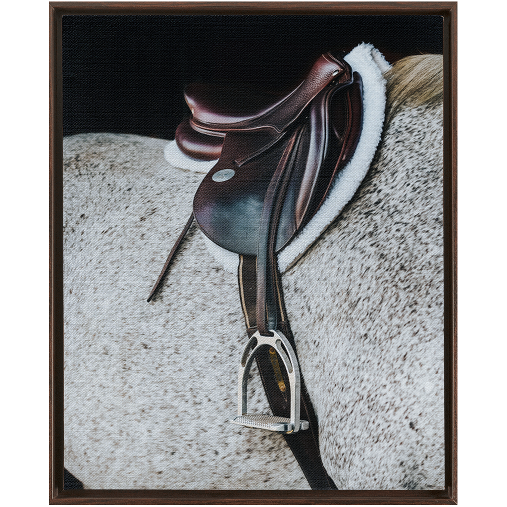 Apollo Series 3, Framed Canvas