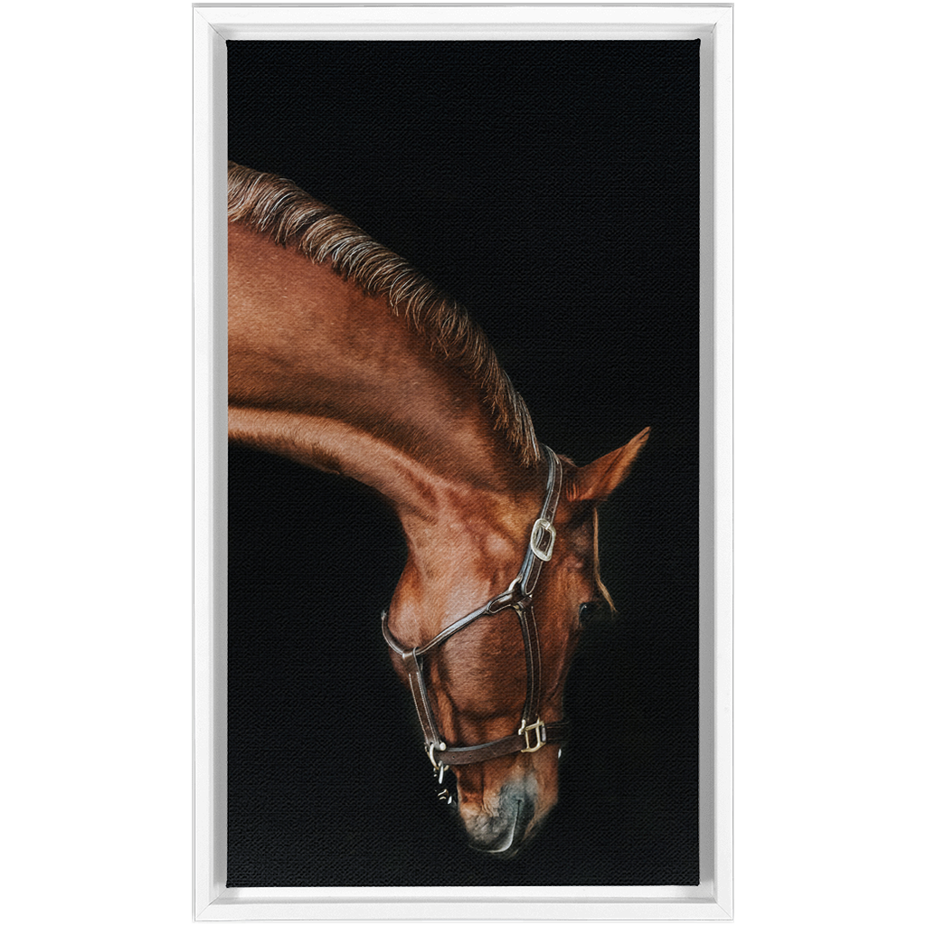 Django Series 6, Framed Canvas