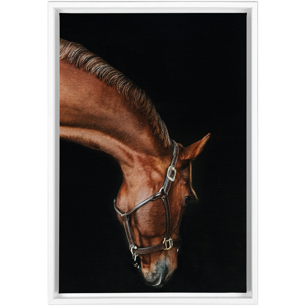 Django Series 6, Framed Canvas