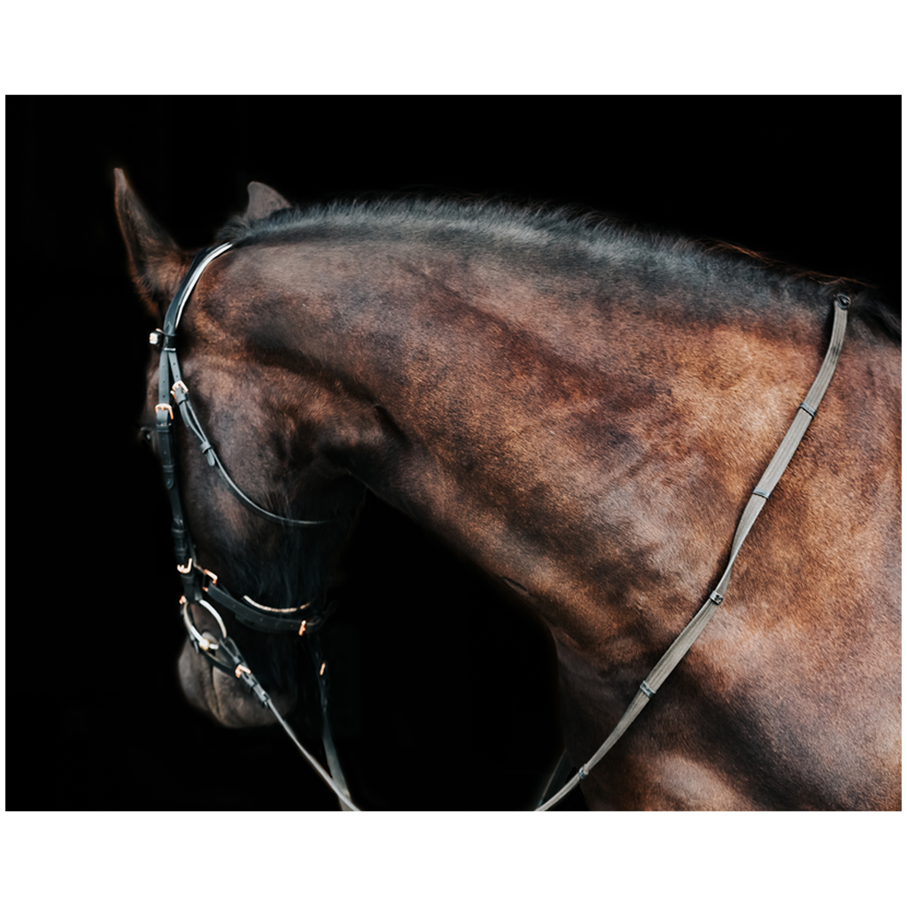 Regal Series 7, Print