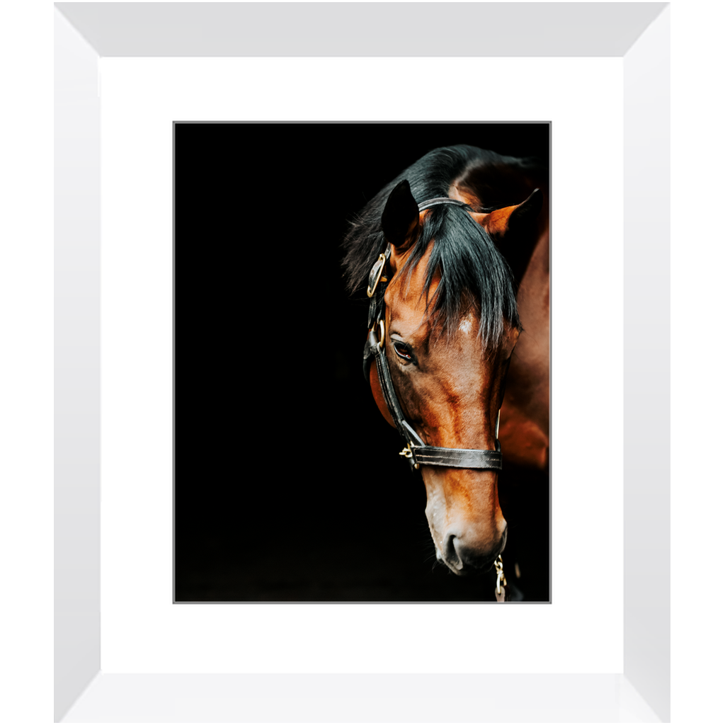 American Pharoah Series 6, Framed Print