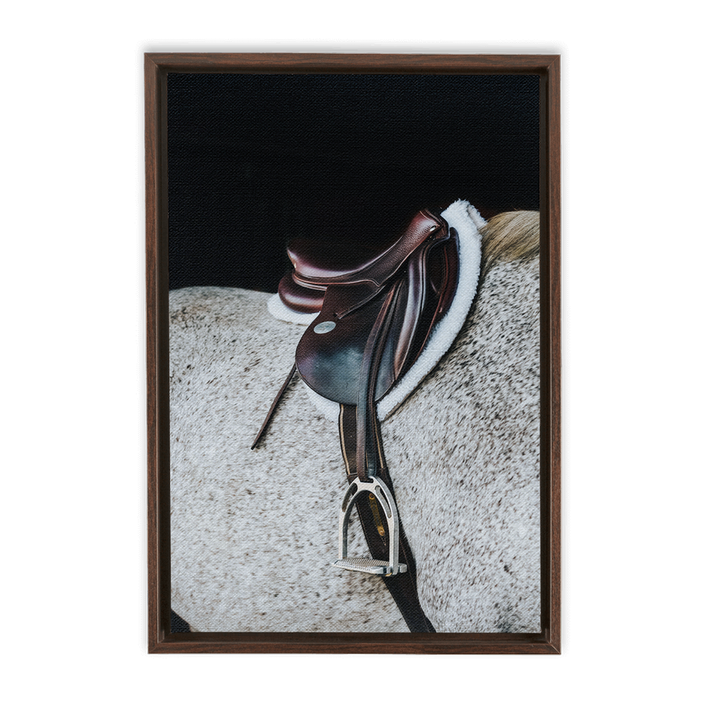 Apollo Series 3, Framed Canvas