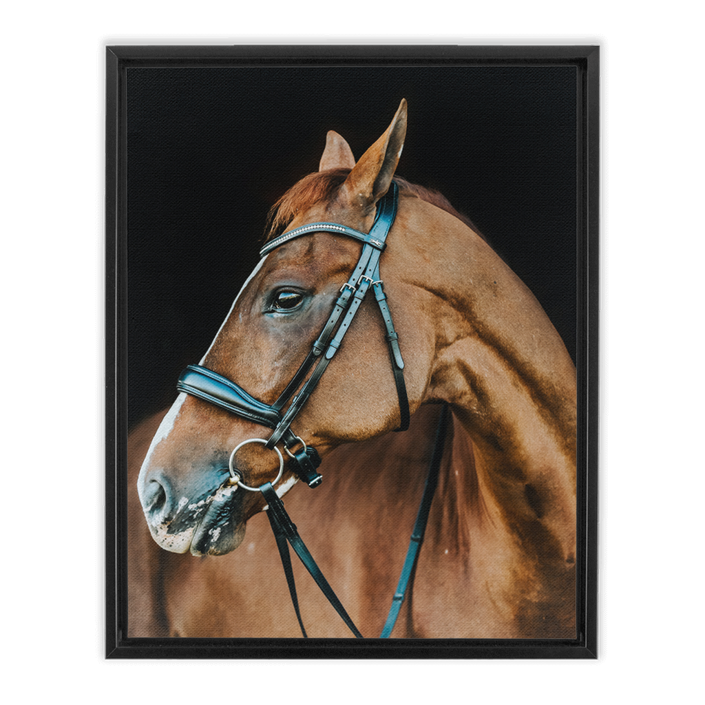 Hudson Series 6, Framed Canvas