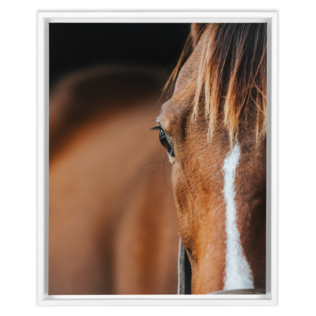 Majestic 1, Framed Canvas
