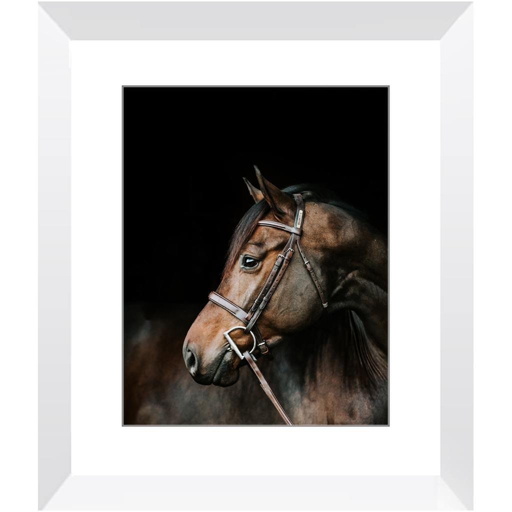 Jovial Series 3, Framed Print