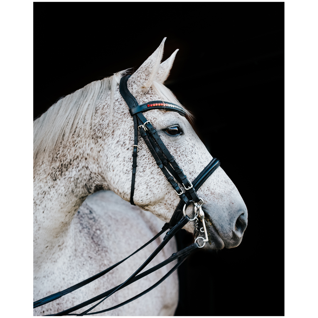 Apollo Series 2, Print