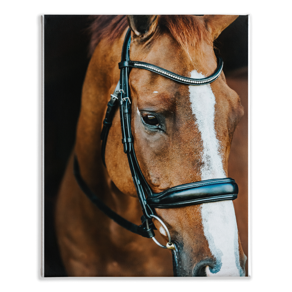 Hudson Series 3, Stretched Canvas