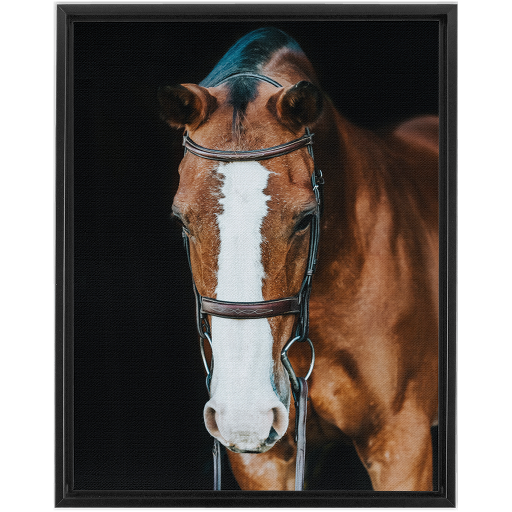 Huntsman Series 6, Framed Canvas