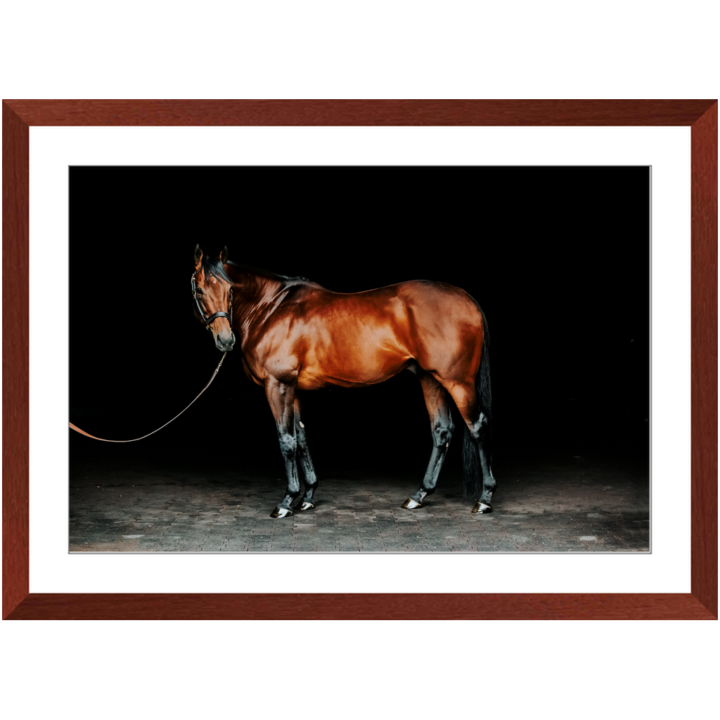 American Pharoah Series 1, Framed Print