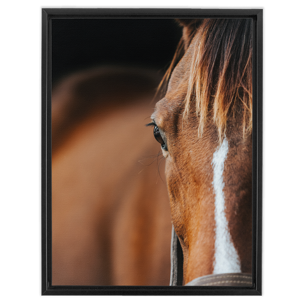 Majestic 1, Framed Canvas