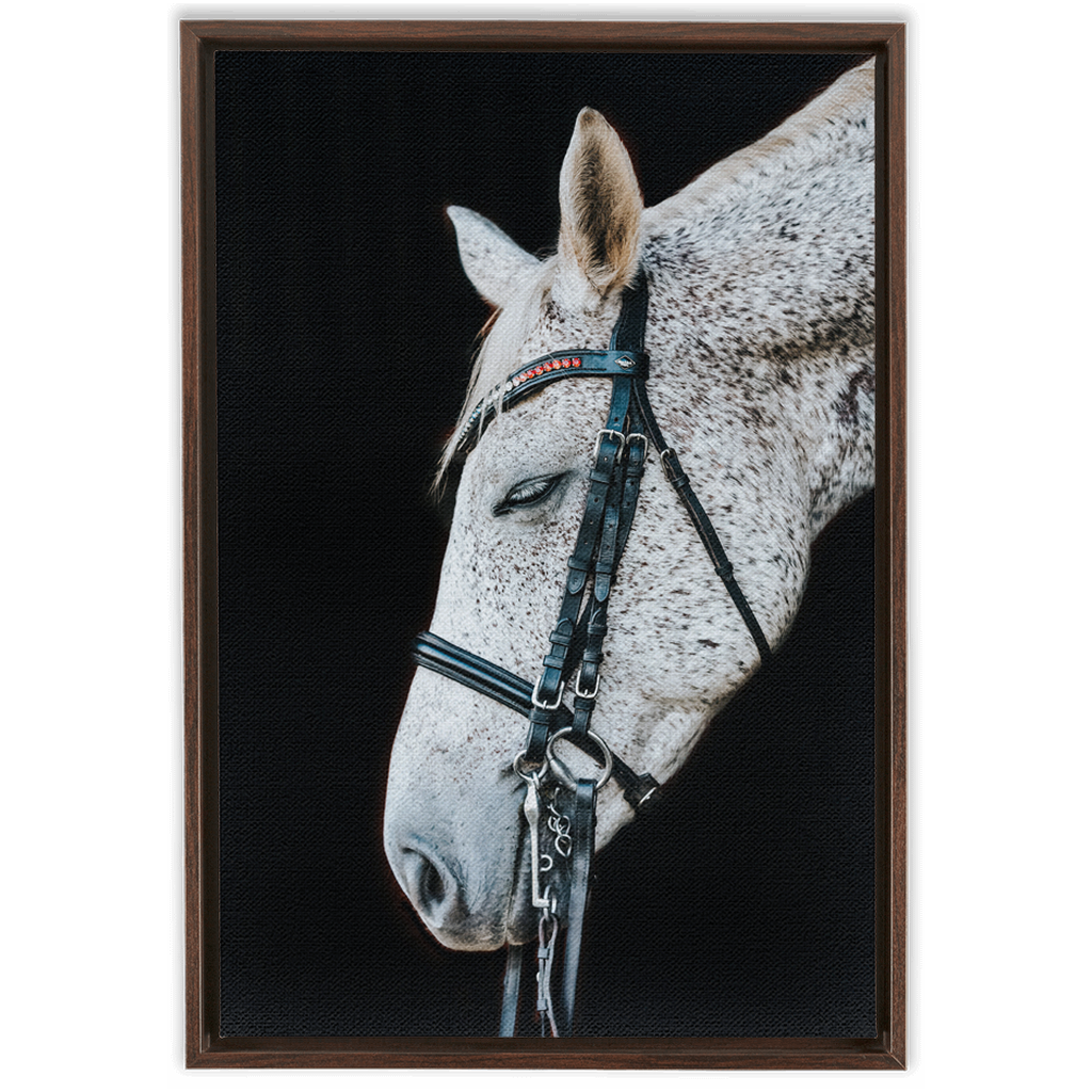 Apollo Series 1, Framed Canvas