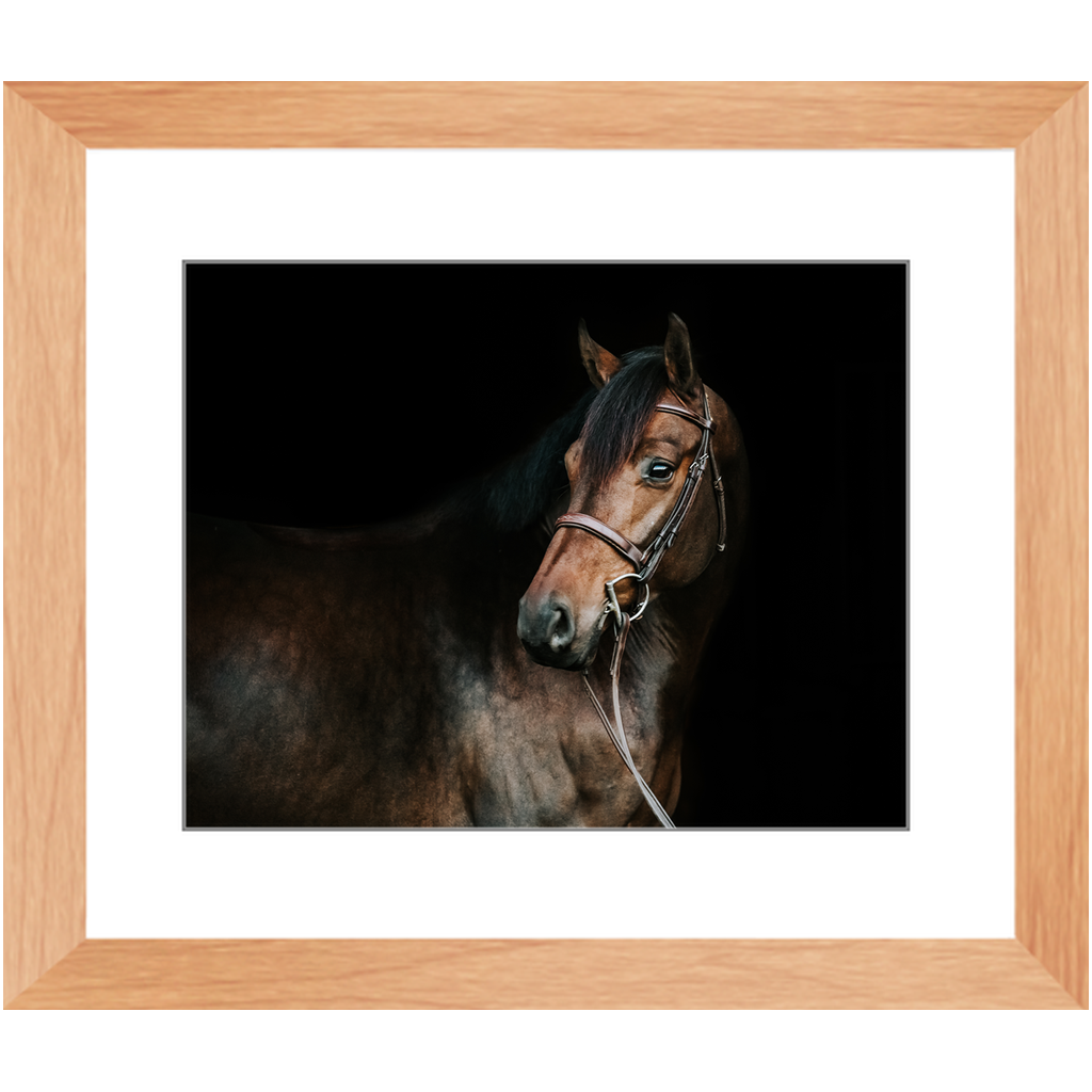 Jovial Series 2, Framed Print