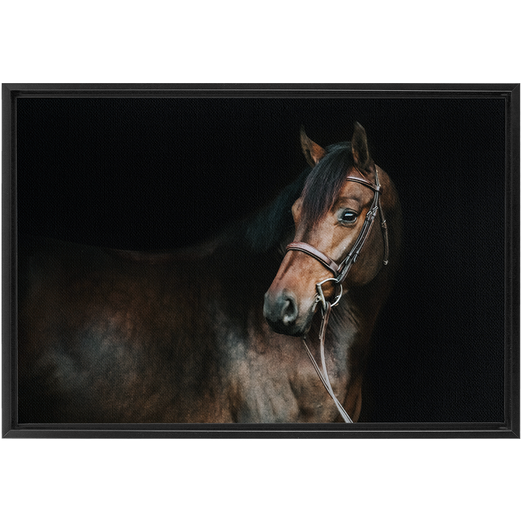 Jovial Series 2, Framed Canvas