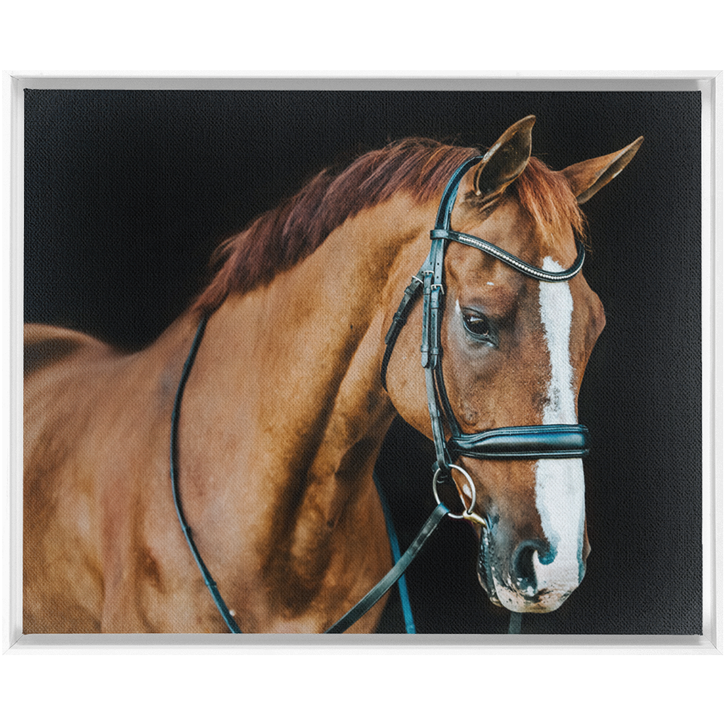 Hudson Series 1, Framed Canvas