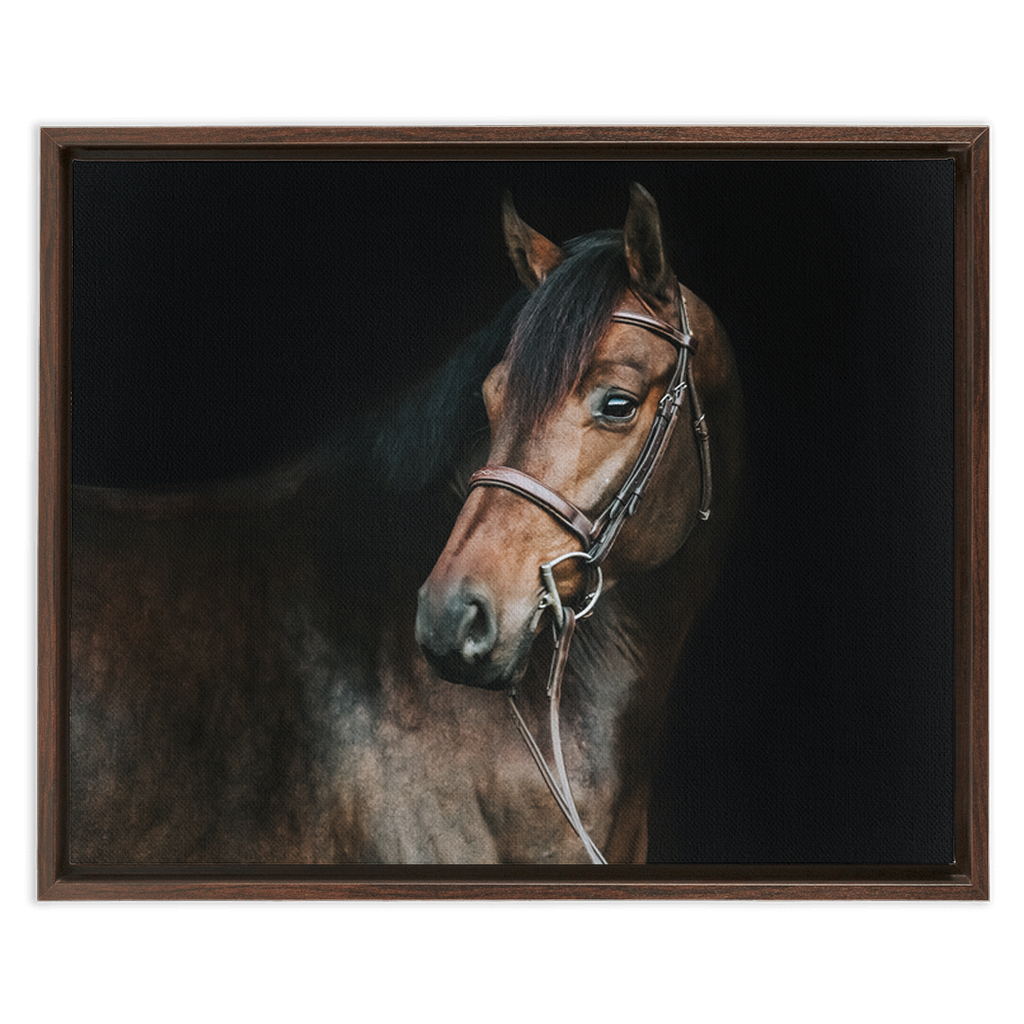Jovial Series 2, Framed Canvas