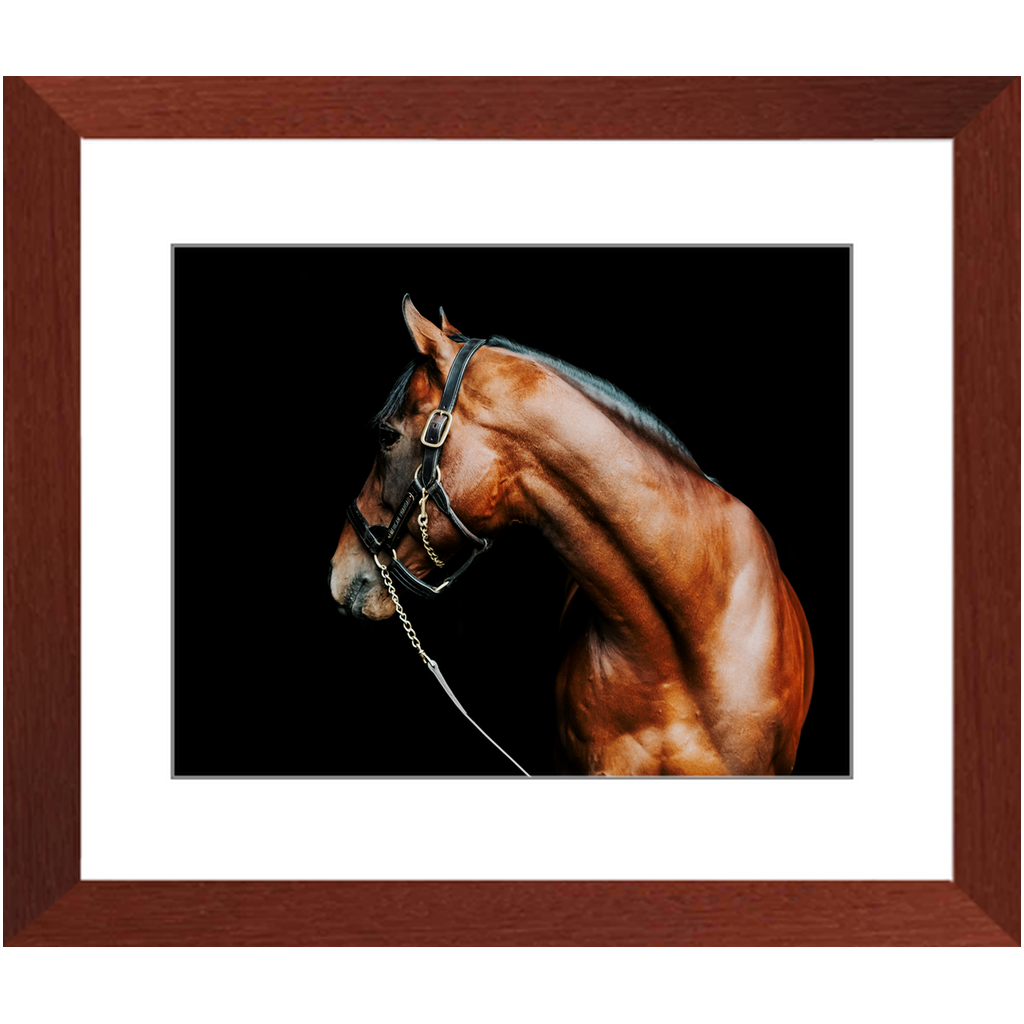 American Pharoah Series 5, Framed Print