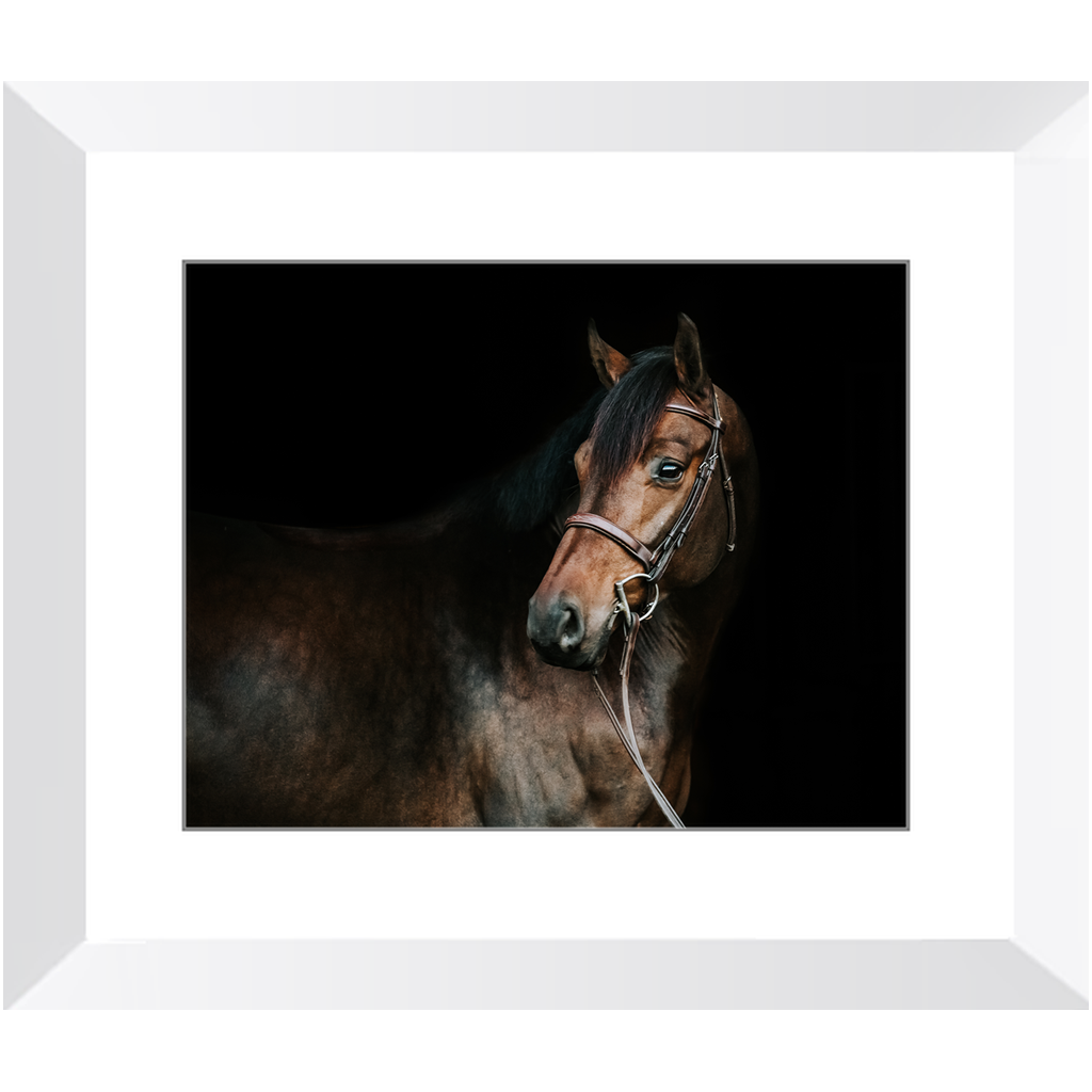 Jovial Series 2, Framed Print