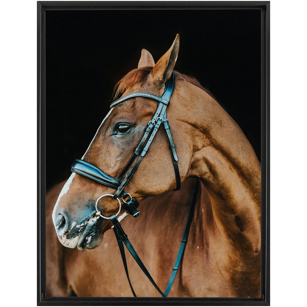 Hudson Series 6, Framed Canvas