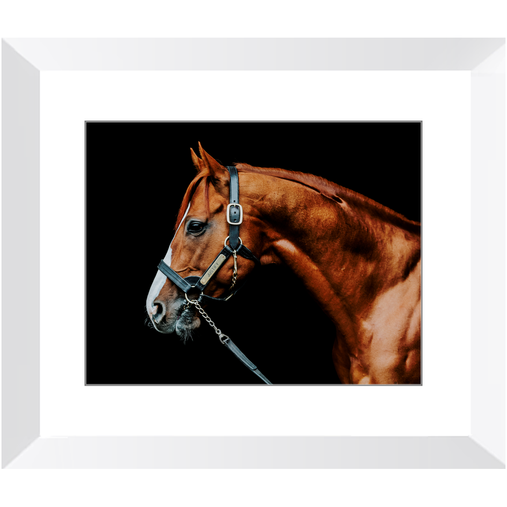 Justify Series 3, Framed Print