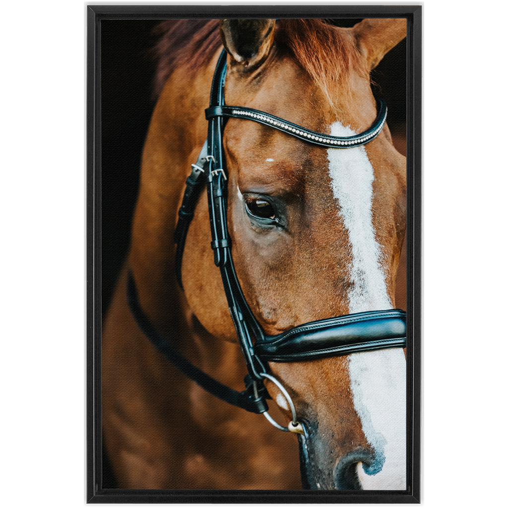 Hudson Series 3, Framed Canvas