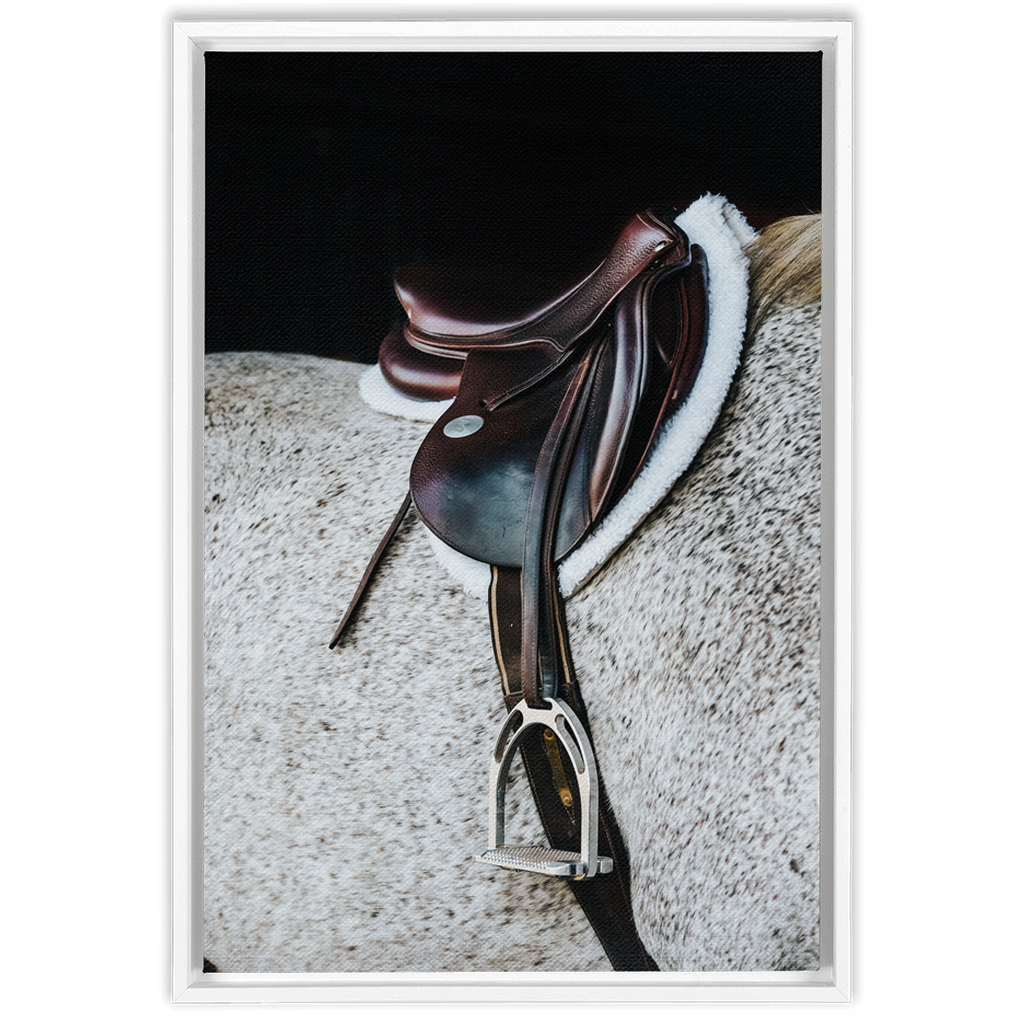 Apollo Series 3, Framed Canvas