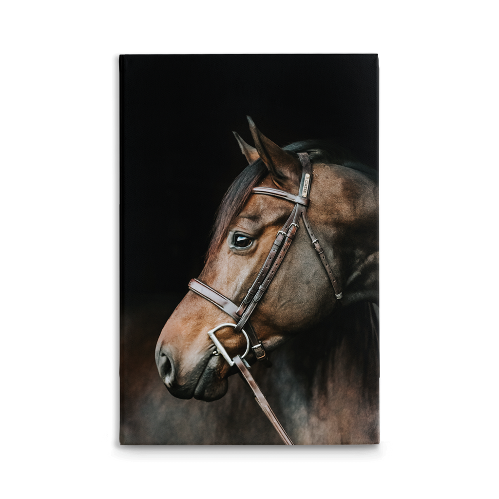 Jovial Series 3, Stretched Canvas