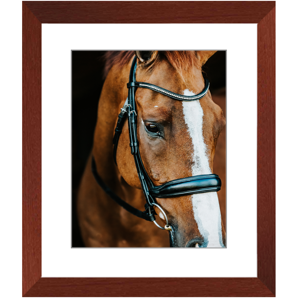 Hudson Series 3, Framed Print