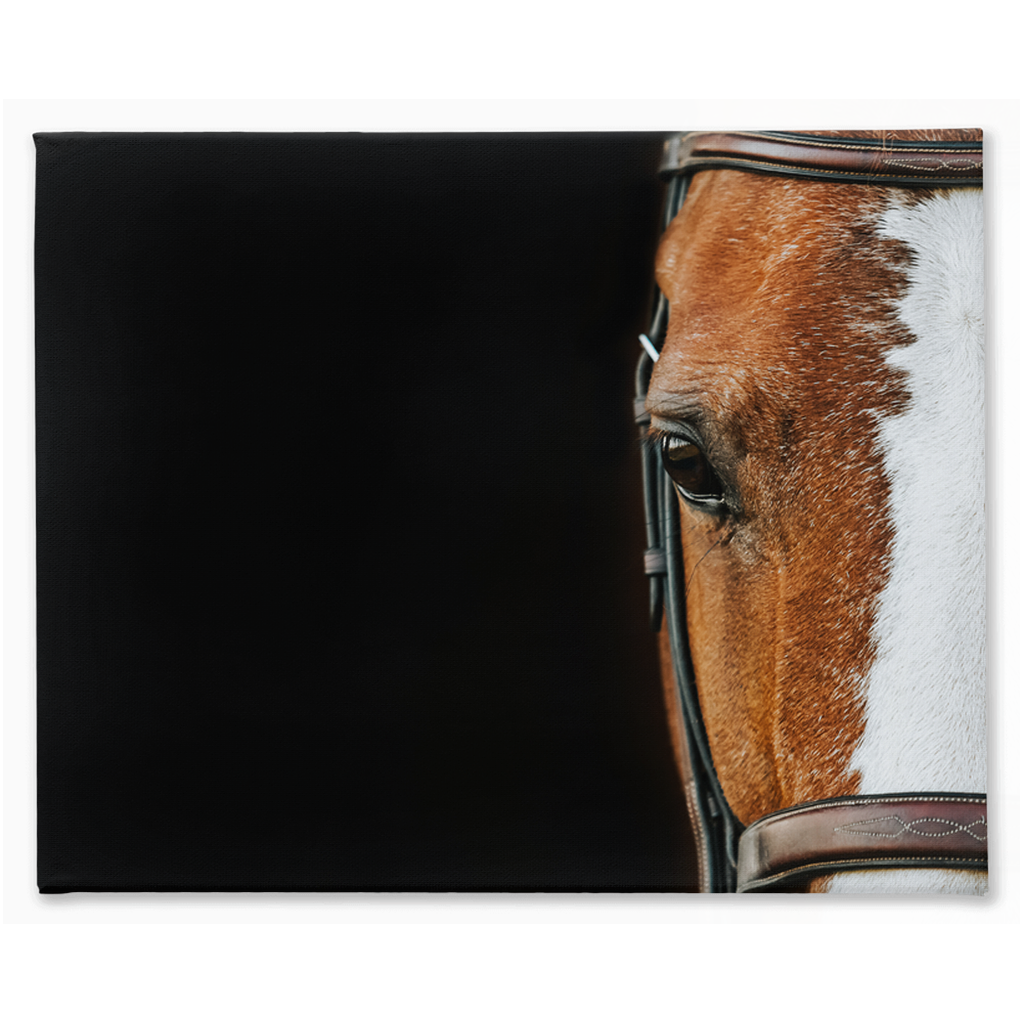Huntsman Series 5, Stretched Canvas