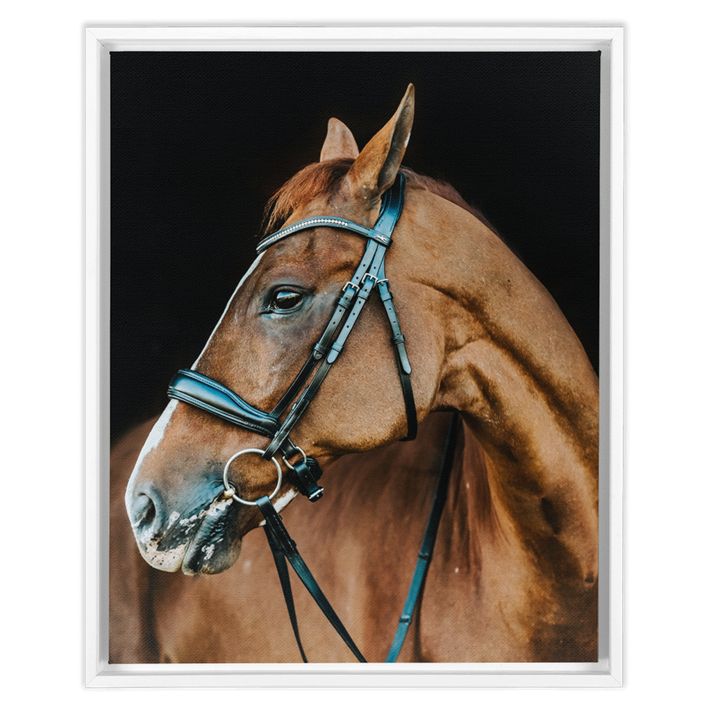 Hudson Series 6, Framed Canvas