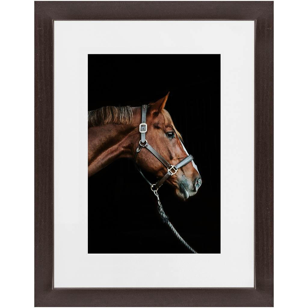 Django Series 3, Framed Print