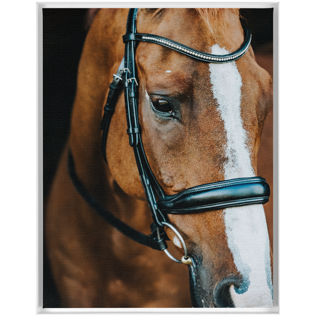Hudson Series 3, Framed Canvas