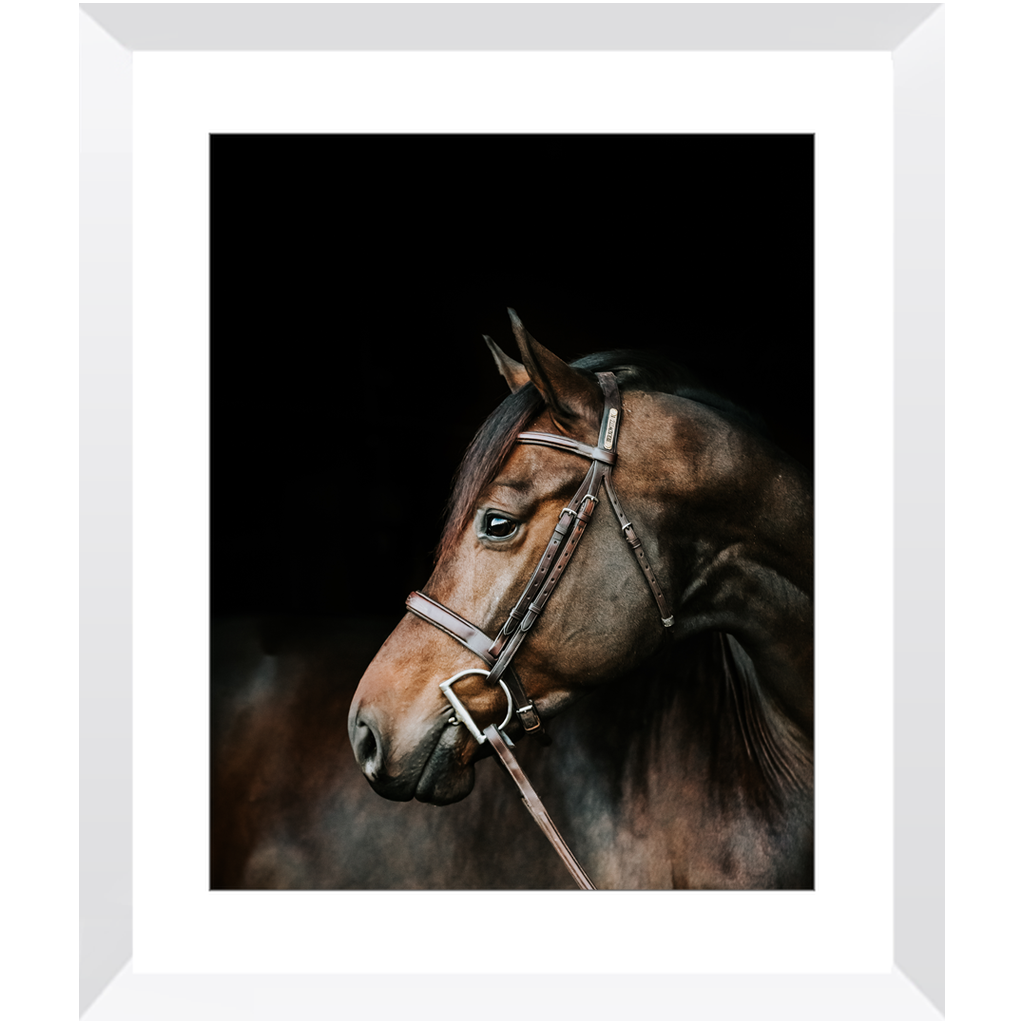 Jovial Series 3, Framed Print