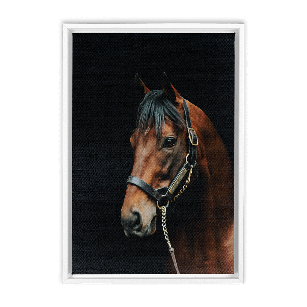 American Pharoah Series 2, Framed Canvas