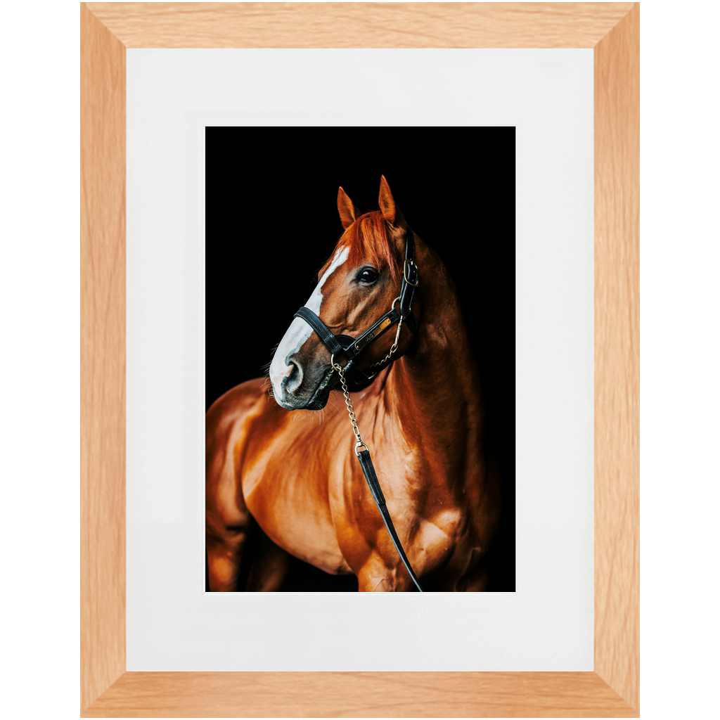 Justify Series 1, Framed Print