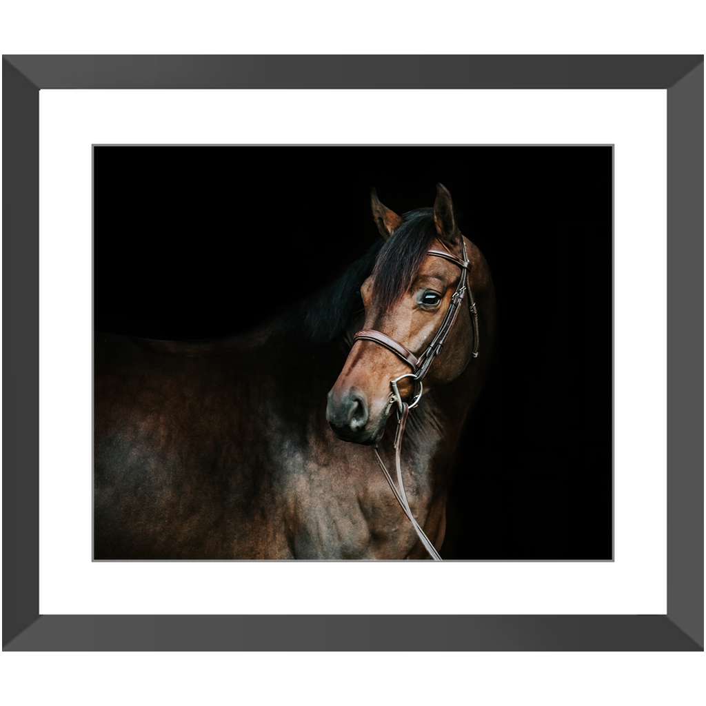 Jovial Series 2, Framed Print