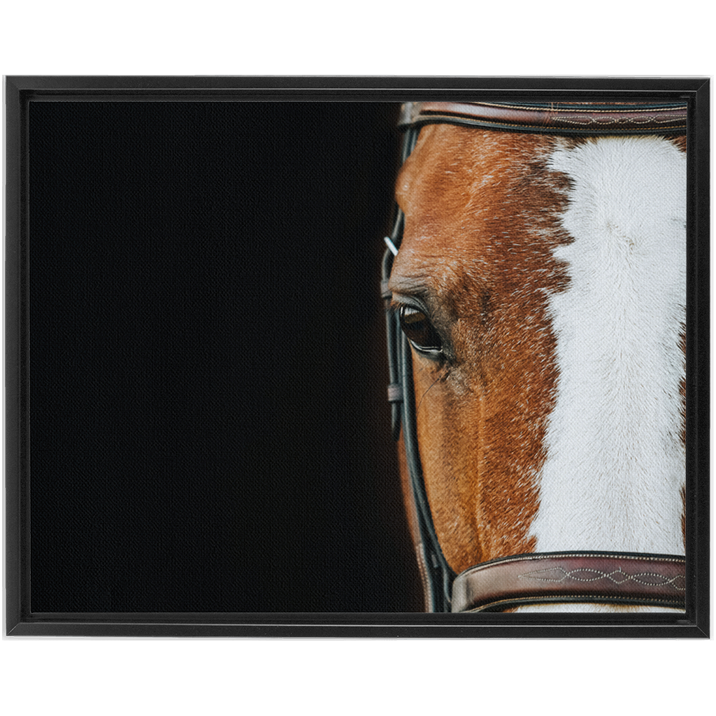 Huntsman Series 5, Framed Canvas