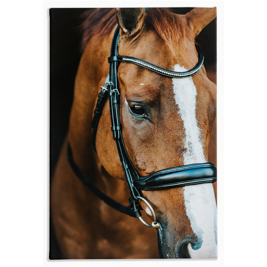 Hudson Series 3, Stretched Canvas
