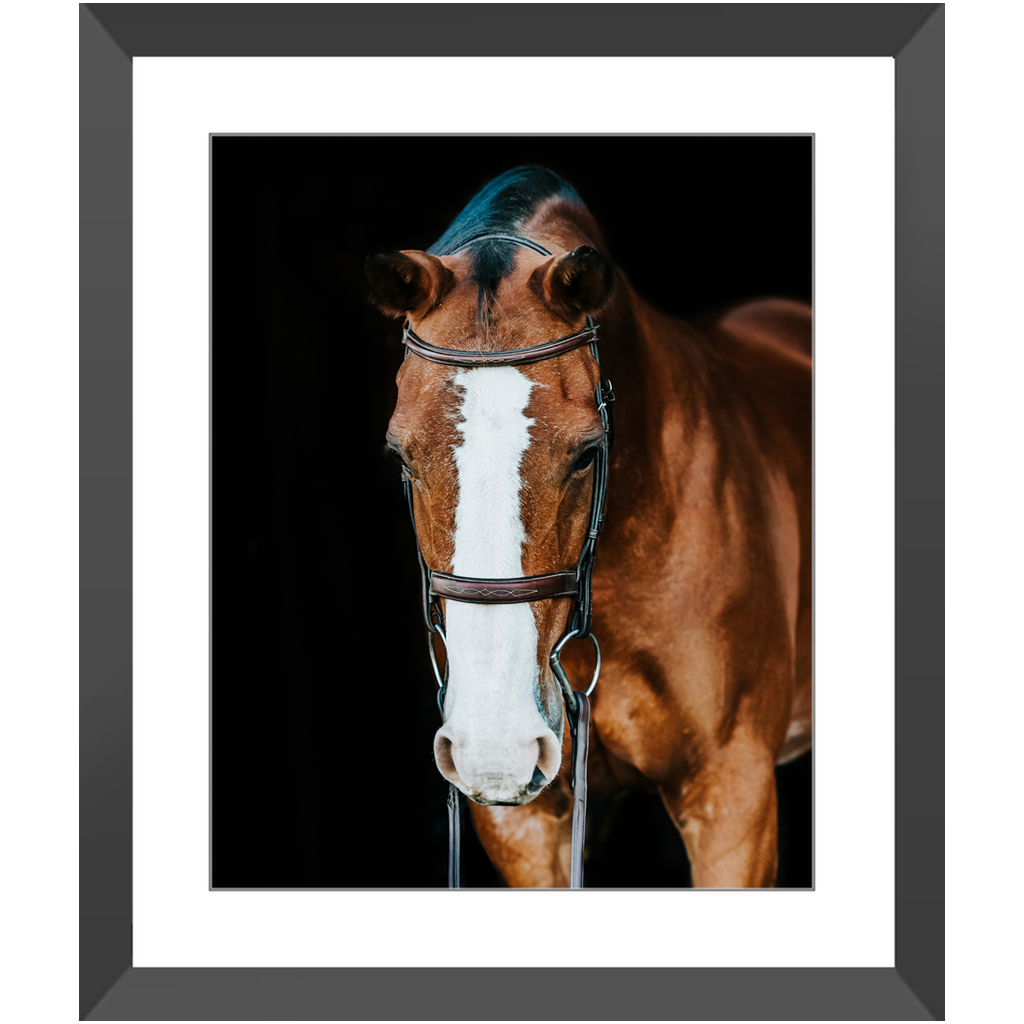Huntsman Series 6, Framed Print